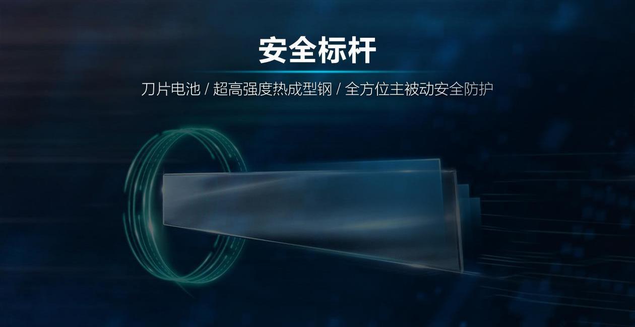 汉,比亚迪