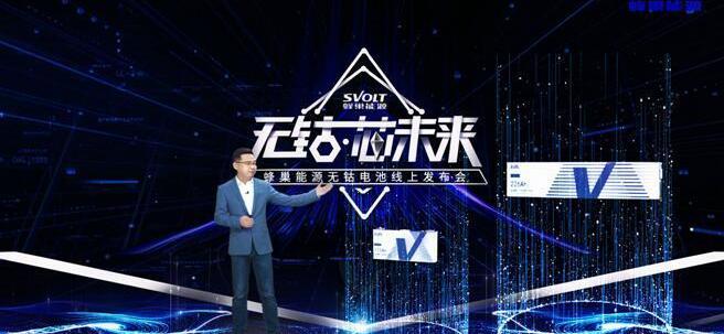 特斯拉,比亚迪,北京,长城,理念