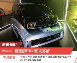 宝骏,比亚迪,合创