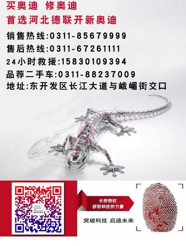 奥迪,奥迪A4L