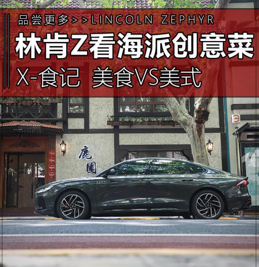 林肯,林肯Z,大众,发现