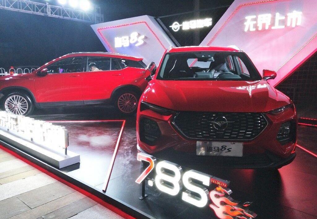 海马,海马8S