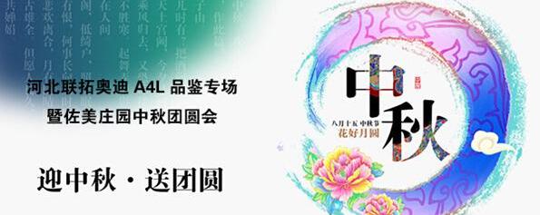 奥迪,奥迪A4L,圆梦