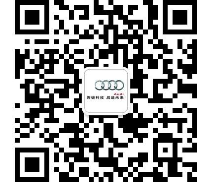奥迪,奥迪A4L,北京,汉,一汽