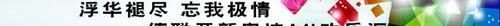 奥迪,奥迪A4L