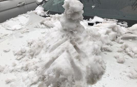 雪铁龙,东风,宝马,北京,标致