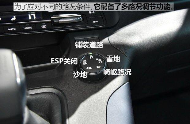 标致,雪铁龙