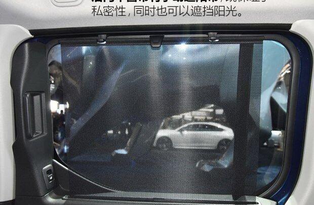 标致,雪铁龙