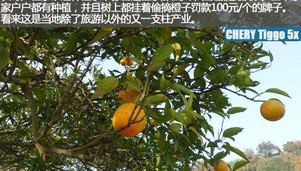 瑞虎5x