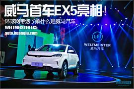 威马汽车,沃尔沃,北京,大众,合创