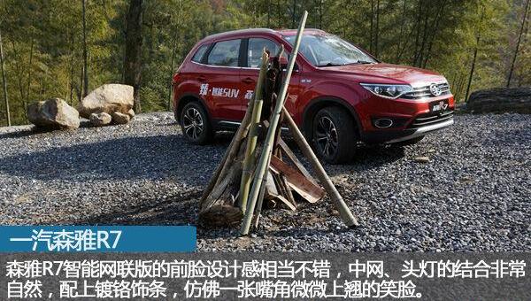 一汽,大众,发现,汉,远程