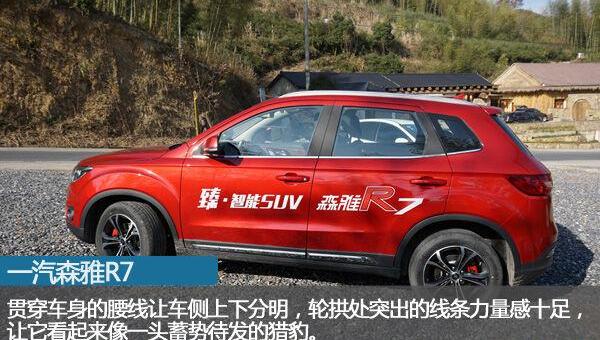 一汽,大众,发现,汉,远程
