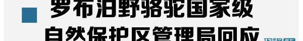 路虎,骆驼,发现