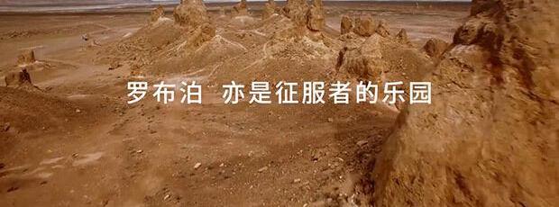 路虎,骆驼,发现
