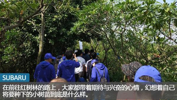 斯巴鲁