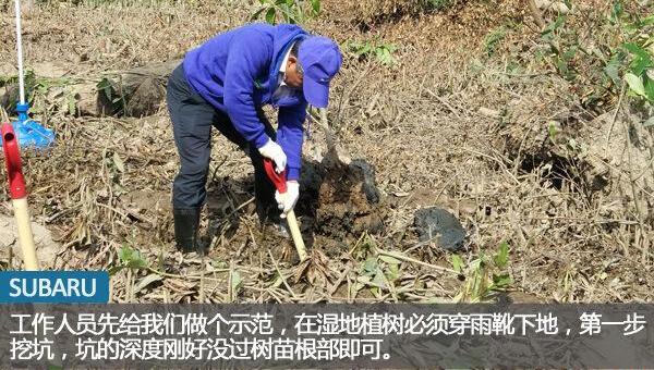 斯巴鲁