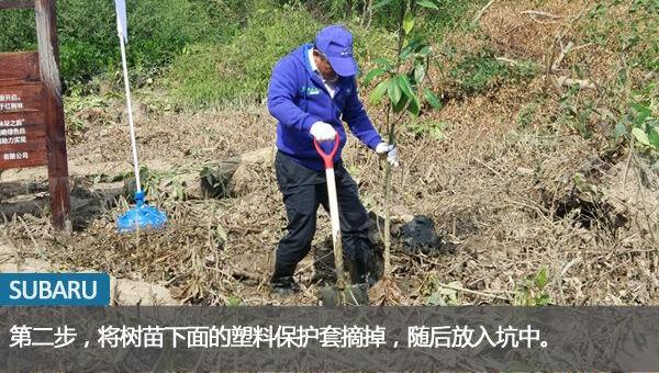 斯巴鲁