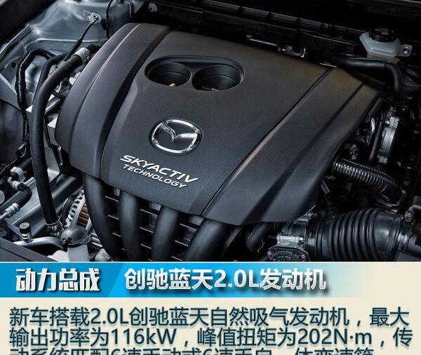 保时捷,领克,领克01,马自达,Model Y
