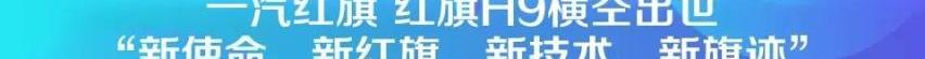 比亚迪,高尔夫,汉,宝马,大众
