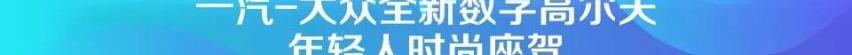 比亚迪,高尔夫,汉,宝马,大众