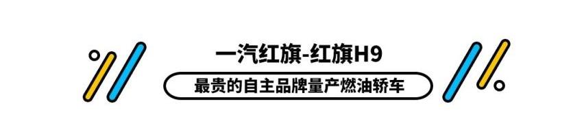 比亚迪,红旗,特斯拉,汉,红旗H9