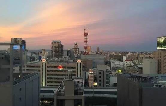丰田,凯美瑞,雅阁,本田,发现