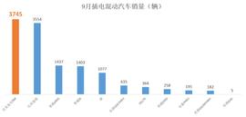 比亚迪,宝马,保时捷,世纪,元新能源