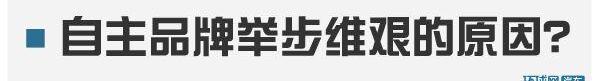 奇瑞,宝马,福特,长城,瑞虎5x