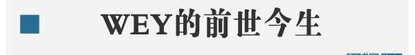 XEV,长城,奥迪,本田,奔驰