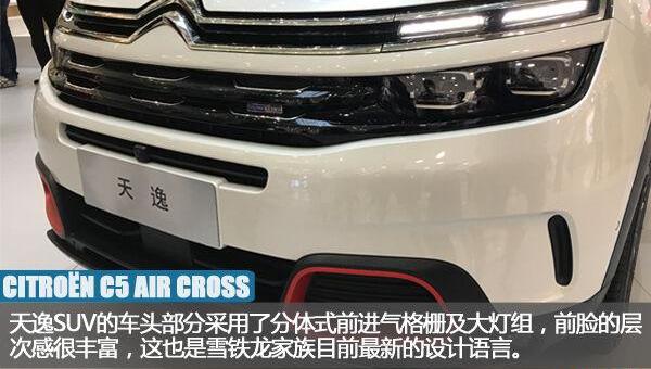 东风,雪铁龙