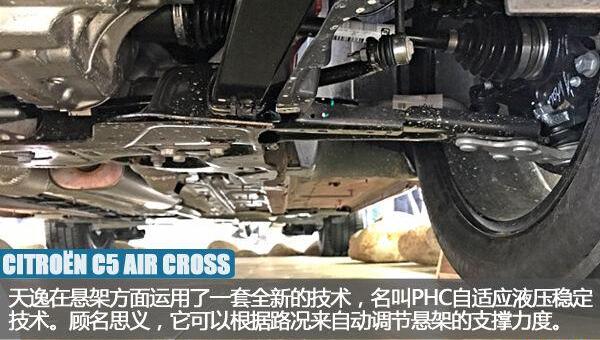 东风,雪铁龙