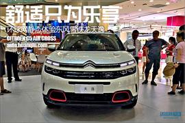 东风,雪铁龙