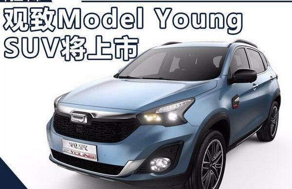 Model Y,北京,奇瑞,瑞虎7
