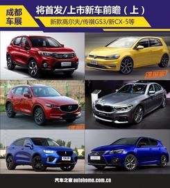 高尔夫,名爵,起亚,现代,长安