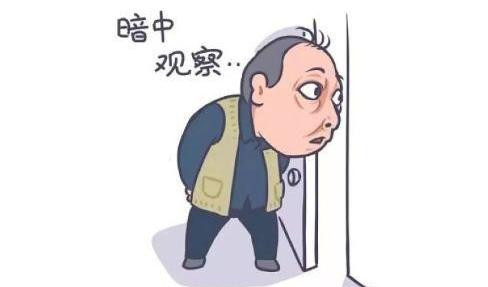 雅阁,帕萨特,凯美瑞,天籁,奥迪