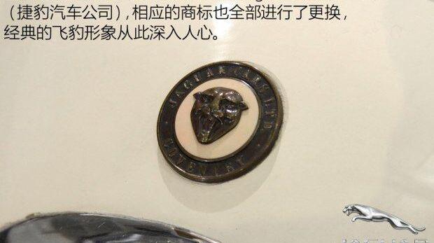 捷豹,世纪