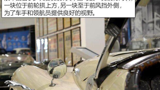 捷豹,世纪