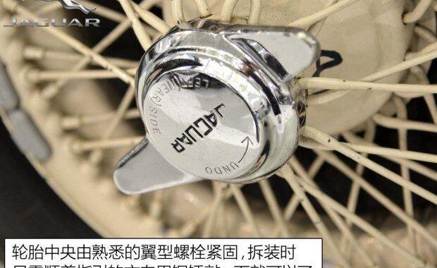捷豹,世纪