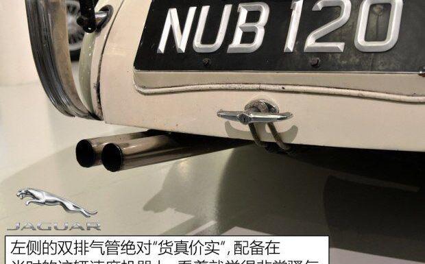 捷豹,世纪