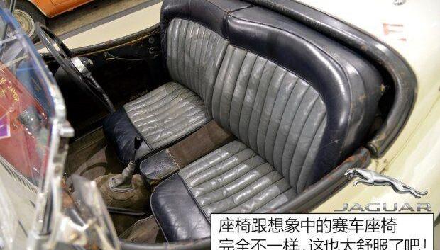 捷豹,世纪