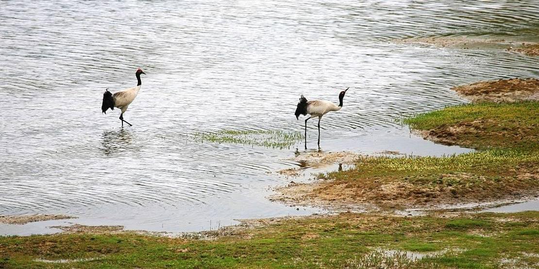 广汽传祺,传祺GS8,传祺GA8,传祺GS4,传祺GA6