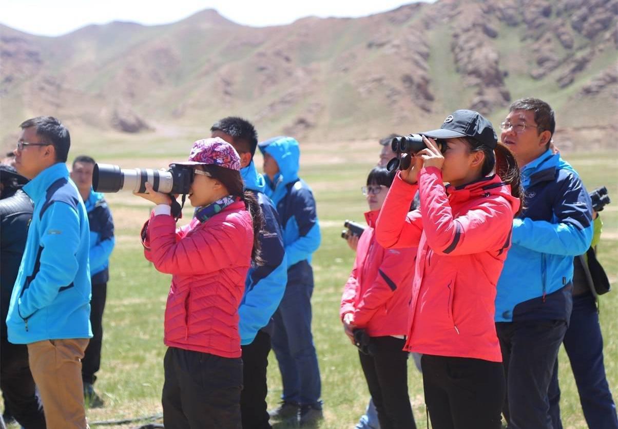 广汽传祺,传祺GS8,传祺GA8,传祺GS4,传祺GA6