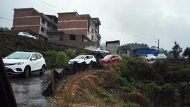 东南,大众,现代