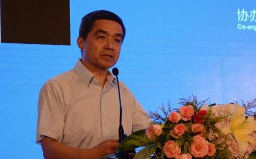 丰田,特斯拉,本田,比亚迪,大众