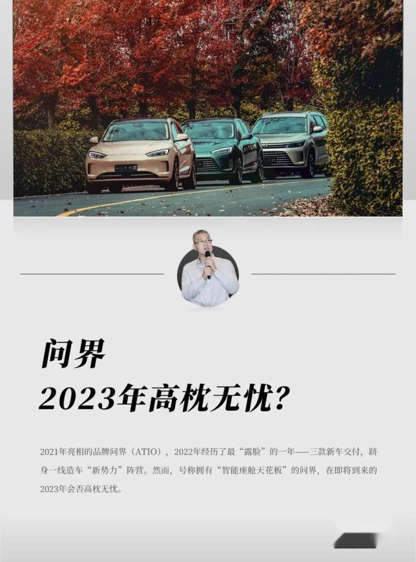 AITO,阿维塔,比亚迪,东风,长城