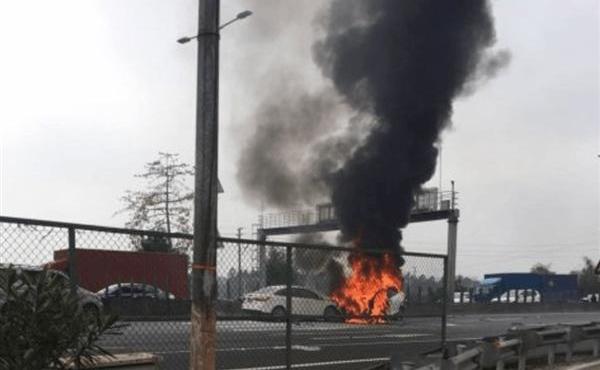 Model X,特斯拉,福特,发现