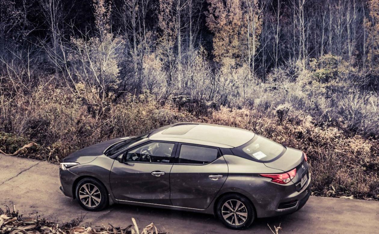 蓝鸟,东风,日产,奥迪,奔驰