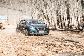 蓝鸟,东风,日产,奥迪,奔驰