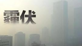 卡罗拉,丰田,发现,一汽