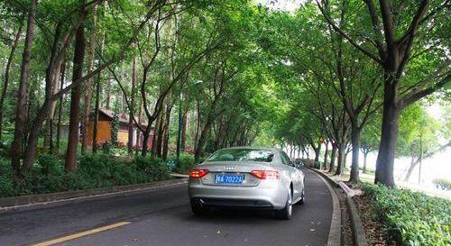 奥迪,高尔夫,奥迪A5,奥迪Q7,奥迪R8